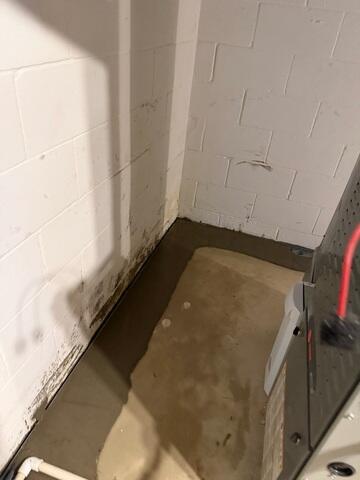 WaterGuard Drainage System