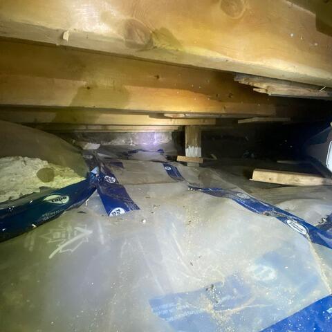 Damp Crawl Space with Humidity Issues