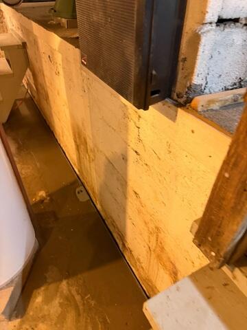 WaterGuard Drainage System