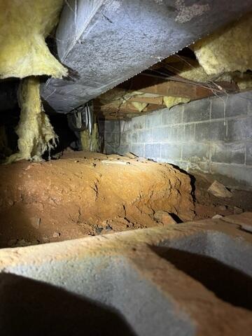Damp Crawl Space