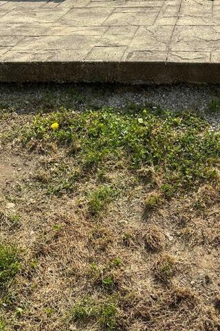 Water Washing Away Soil Under Pool Deck