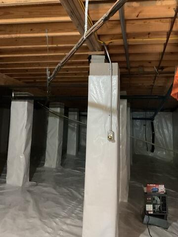 Dehumidifier and CleanSpace are a great team