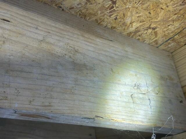 Moldy Floor Joists