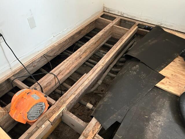 Floor Joist Damage