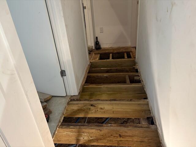 Subfloor Removal