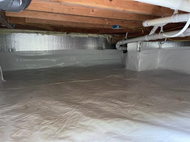 CleanSpace and SilverGlo