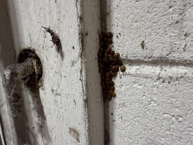 Shortly After Treating