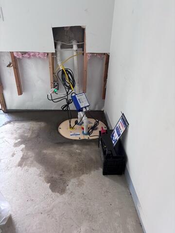 TripleSafe Sump Pump