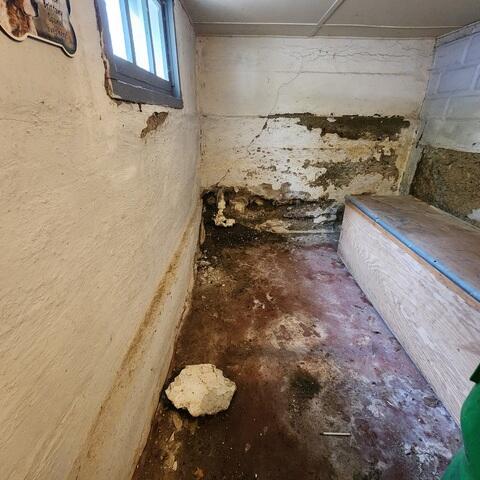 Ruined Basement Walls