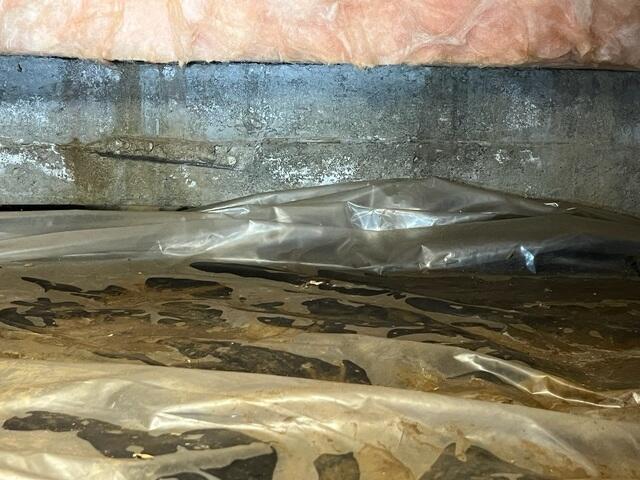 Before Installation - Damp, Flimsy Liner