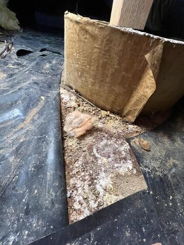 Before Installation - Moldy Crawl Space