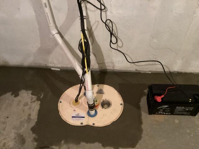 TripleSafe Sump Pump