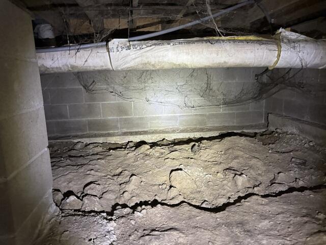 A Damp Crawl Space Leads to Problems