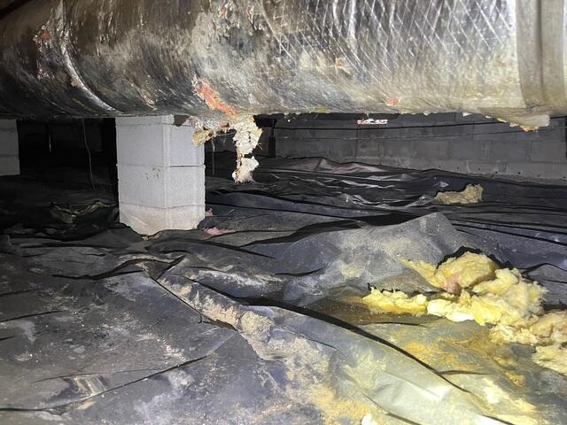 Crawl Space During Inspection