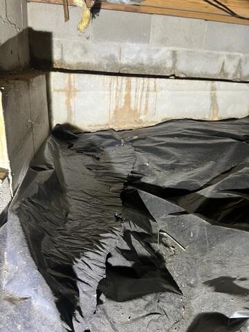 Moisture in the Walls