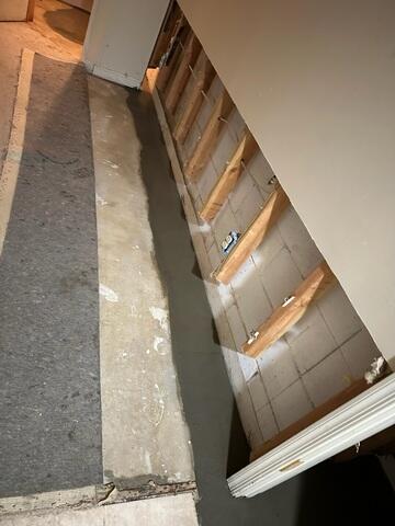 WaterGuard Drainage System