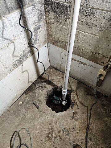 Old Sump Pump