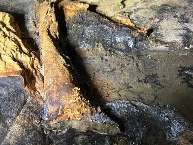 Before Installation - Moldy, dirty crawl space