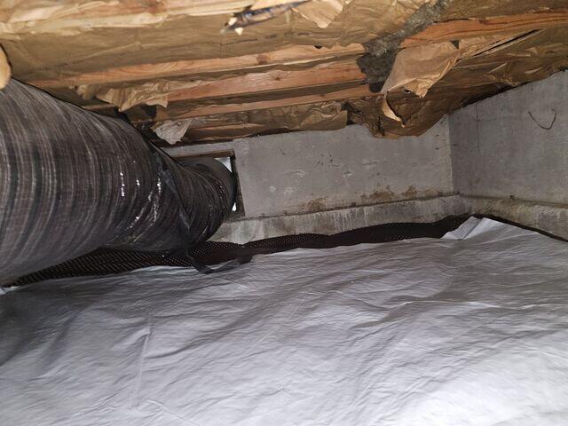 After Installation - CleanSpace Light, Drainage Matting