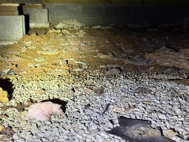Crawl Space Debris