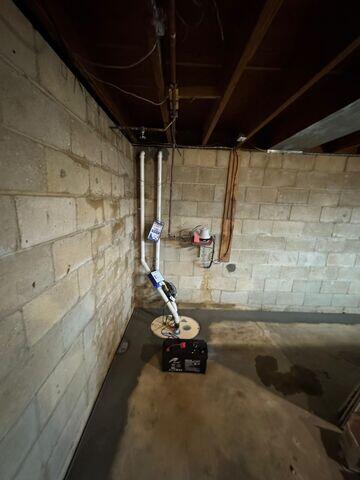 TripleSafe Sump Pump