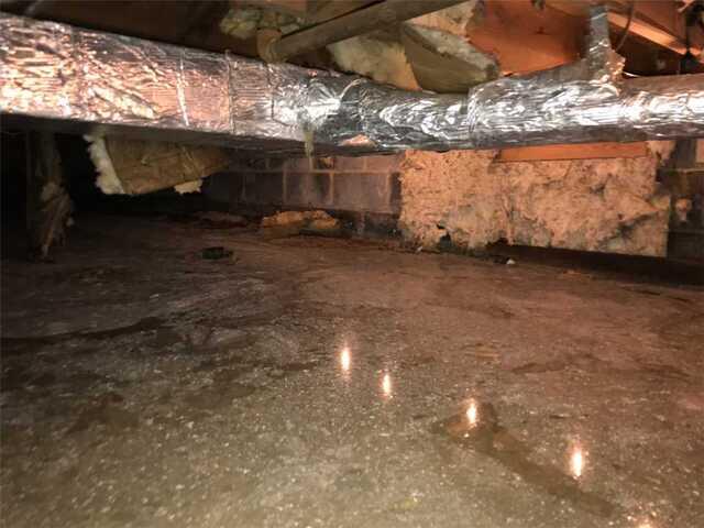 Crawl Space Moisture