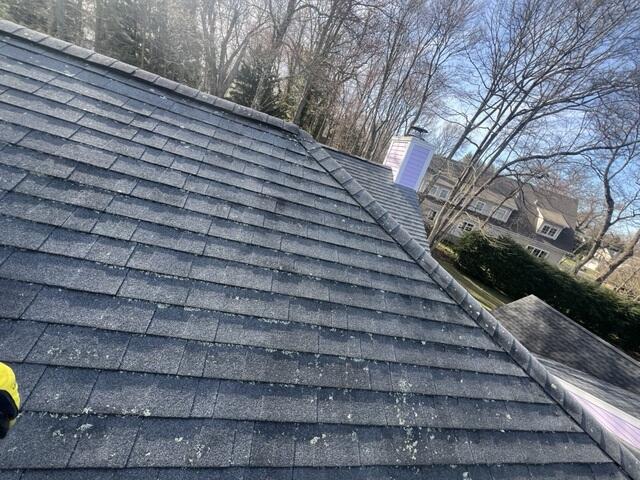 Before: Lichen Growth