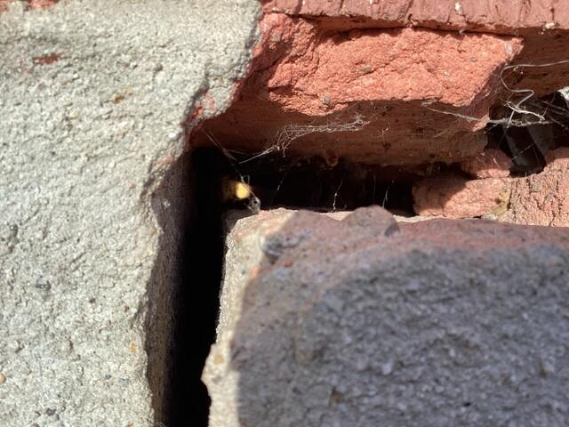 Close-Up of Foundation Separation Beneath Brick