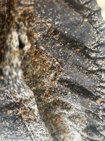 Everywhere in the Room