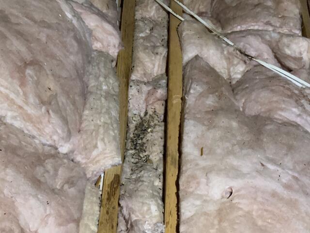 Left Some Presents Behind