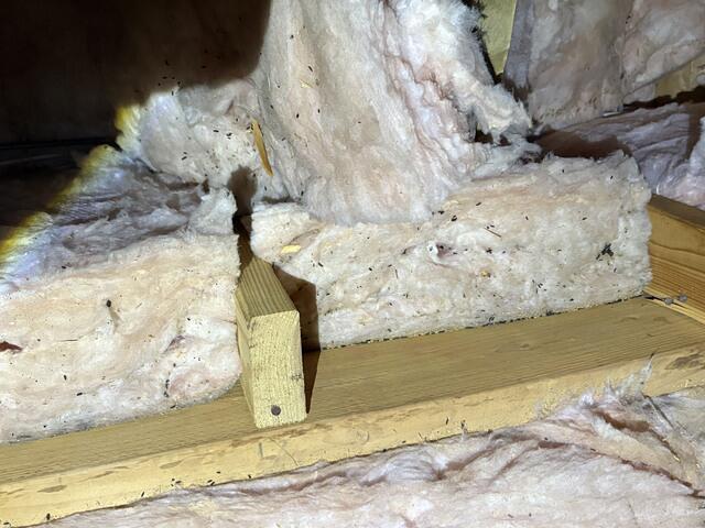 A Number of Return Visits