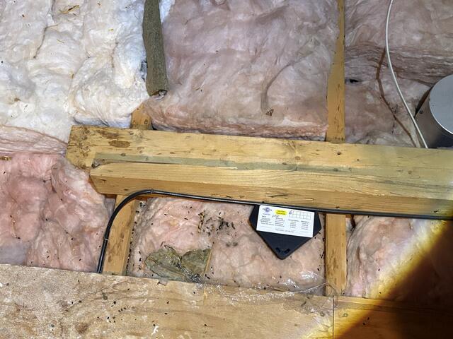 Set Up the Bait Stations for Mice