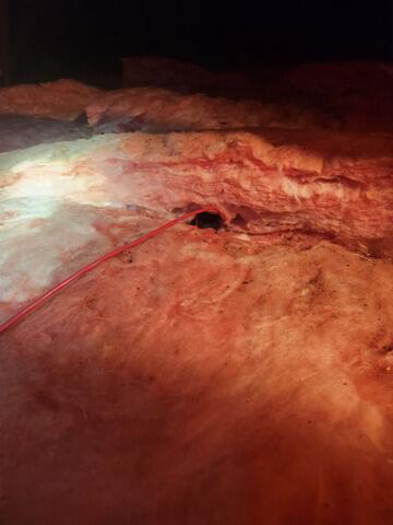 Set Up to Retrieve the Squirrels