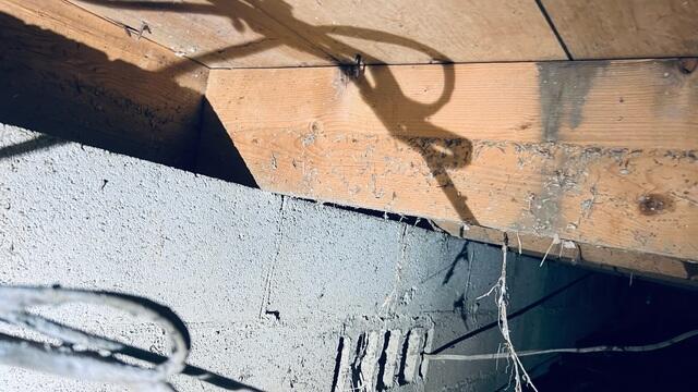 Wood Rot on Floor Joists