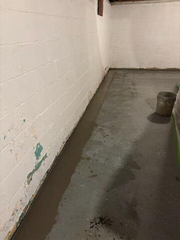 WaterGuard Drainage System