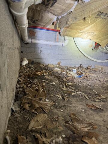 A Damp Crawl Space with No Vapor Barrier Can Make Your Whole Home Unhealthy