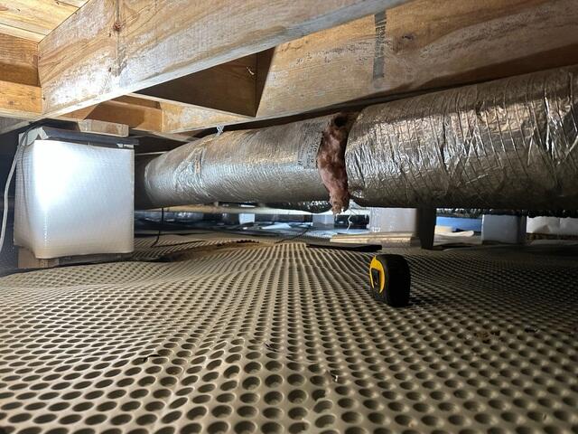 Drainage Matting Installed