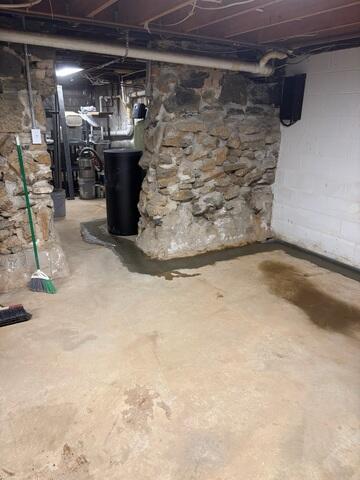 WaterGuard Drainage System