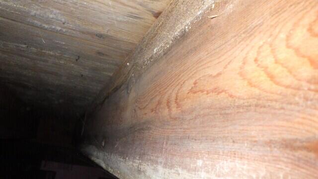 Performing Soda Blasting and Crawl Space Encapsulation