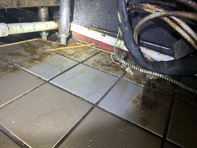 Treatment for the Fruit Flies