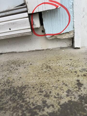 Come Back Again & Again