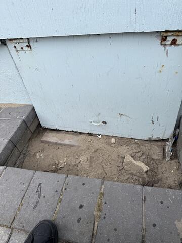 Small Enough for the Mice