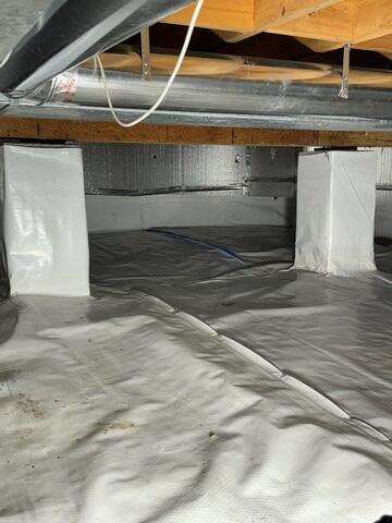 CleanSpace and SilverGlo