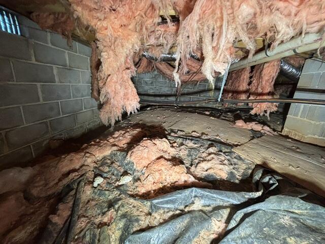 Nasty Crawl Space