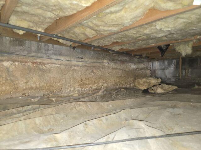 Nasty Crawl Space
