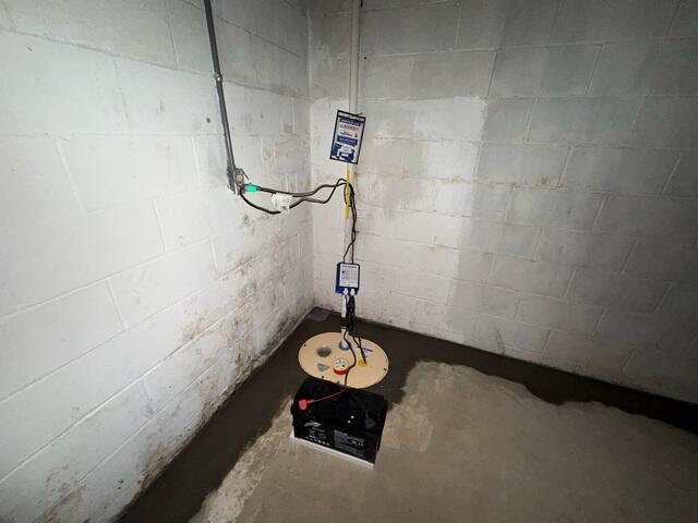 TripleSafe Sump Pump