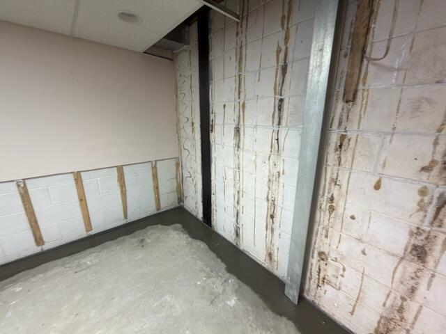 PowerBrace & CarbonArmor