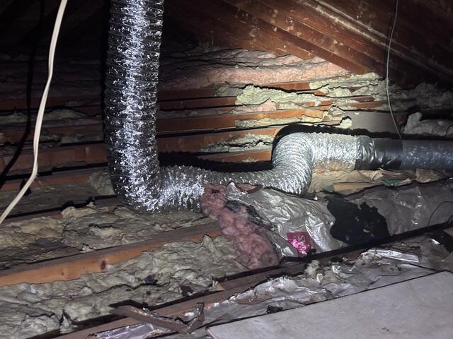 Dirty, Unhealthy Attic