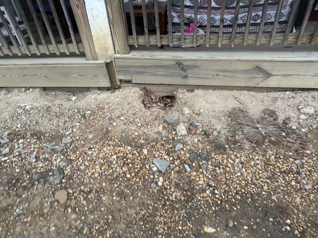 A Bunch of Rat Burrows