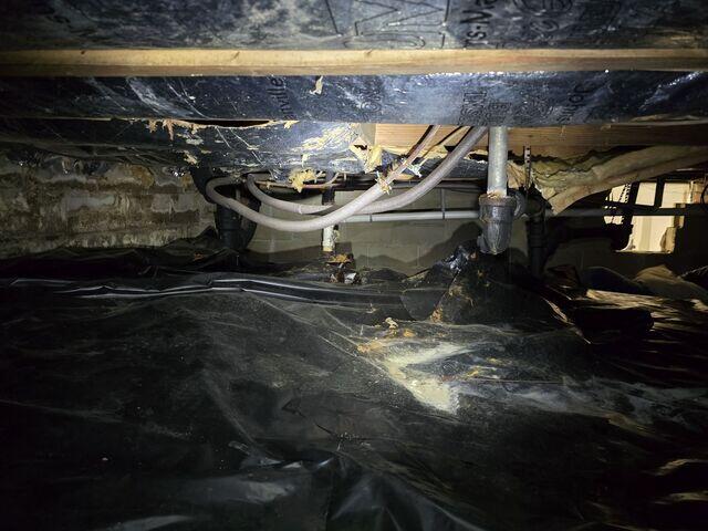 Foundation Settlement